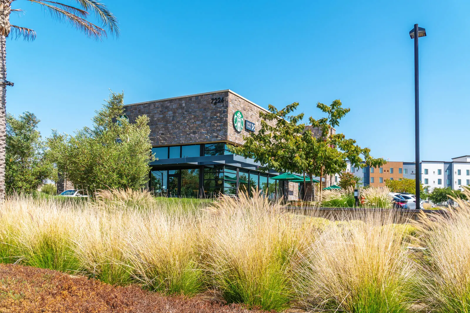 https://lewisretailcenters.com/wp-content/uploads/2024/05/ext-232-1024x683.jpg